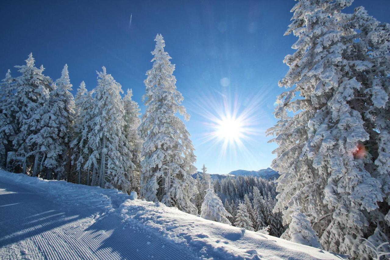 Hotel Alpenschloessl Sankt Johann im Pongau Buitenkant foto